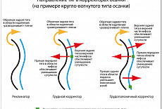 Профилактика сколиоза – лучше предупредить, чем лечить