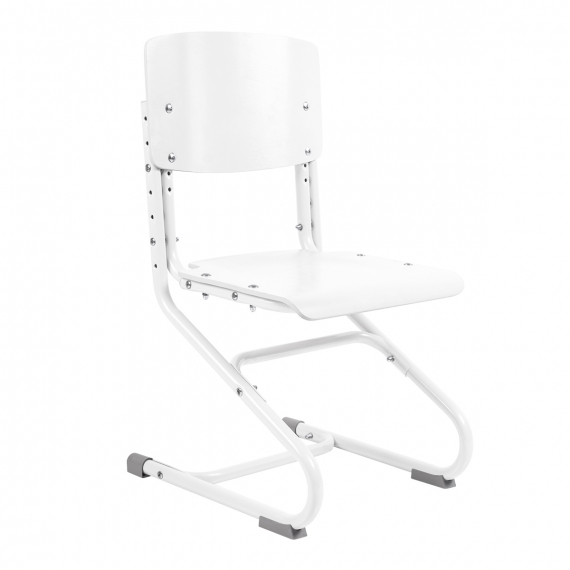 Растущий стул Anatomica Ergo Chair